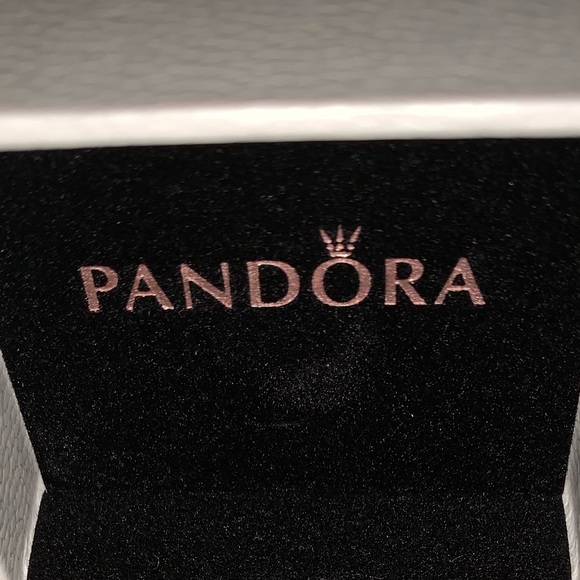 Pandora You Are So Loved Charm - Picture 3 of 3